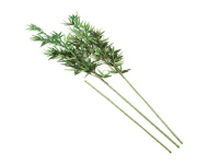 ���~����p�i�@�|�Z�b�g�A�ق�����