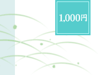 ���~�ԗ�i�@1,000�~