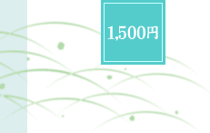 ���~�ԗ�i�@2,000�~