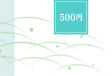 ���~�ԗ�i�@500�~