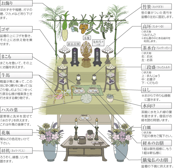 ����: �u���E�Y���n��@���~�I�̏�����C���X�g