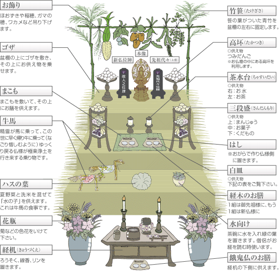 ����: �É��s���@�O�i�~�I�̏�����C���X�g