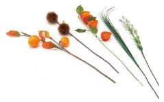 ���~����p�i�@�|�Z�b�g�A�ق�����